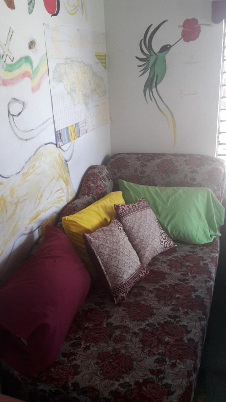 Holiday Home - Guest House Порт-Антоніо Екстер'єр фото